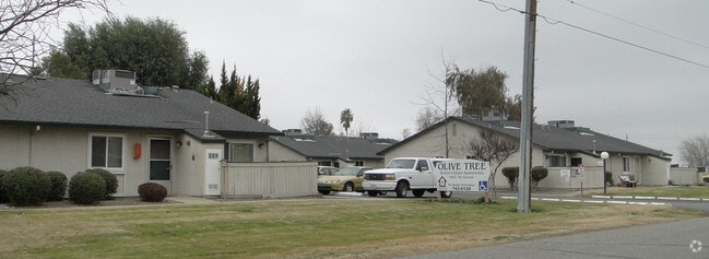 Building Photo - Olive Tree Senior Apartments
