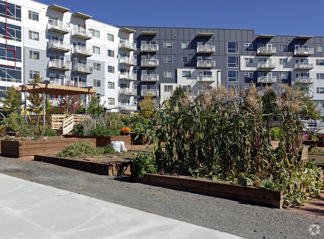 Building Photo - The Residences at Creekside
