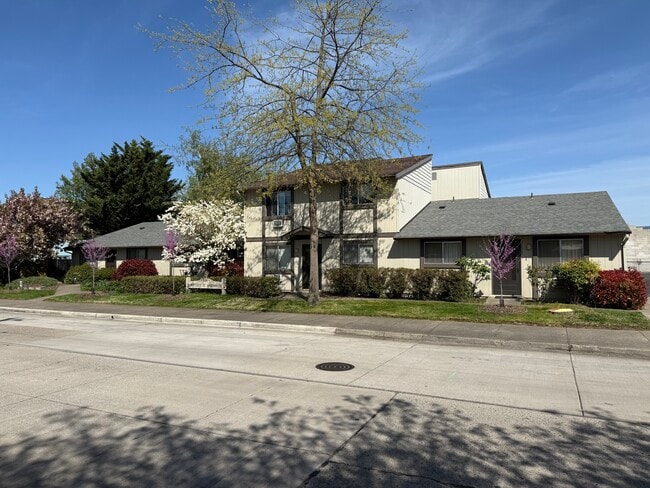 Bartlett Street Apartments - Bartlett Street Apartments