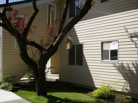 Primary Photo - Cottonwood Rental