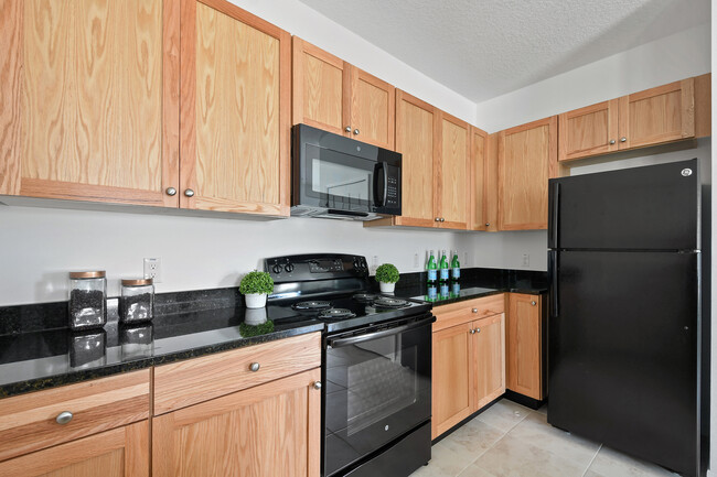 Villa Kitchen - Spring Tree Village Apartments