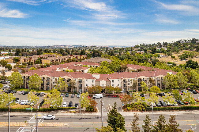 Aerial - Bay View Vista Rental