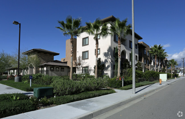 The Magnolia at Highland Senior Apartments - The Magnolia at Highland Senior Apartments