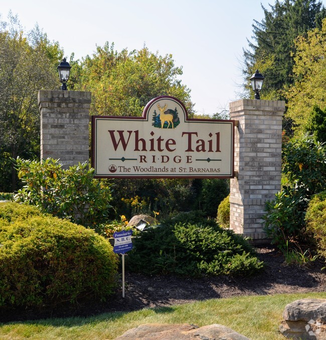 Building Photo - White Tail Ridge Rental