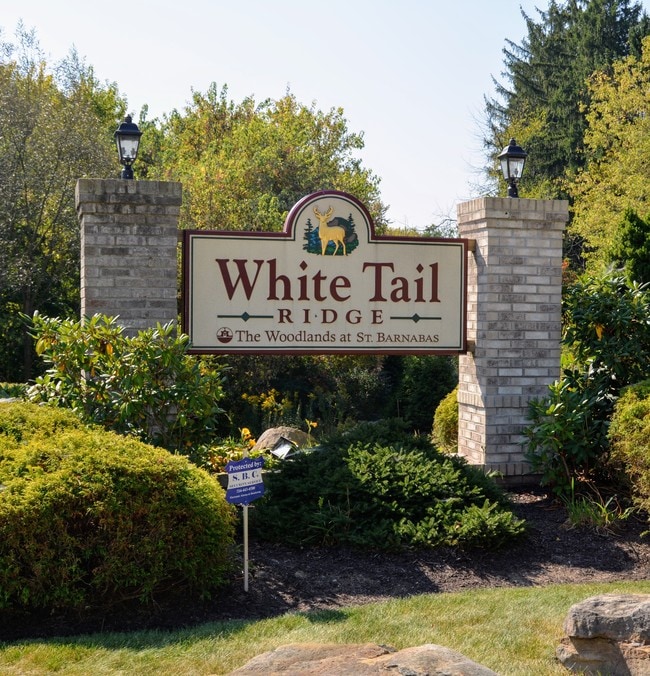Building Photo - White Tail Ridge Rental