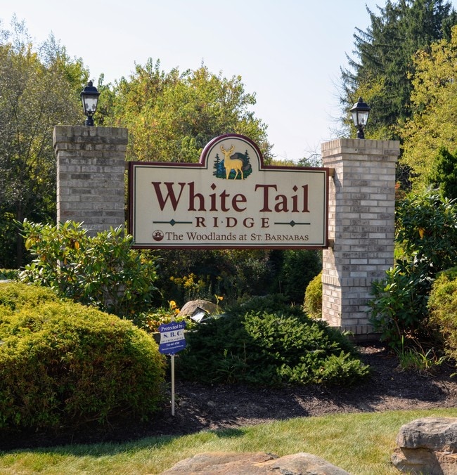 White Tail Ridge - White Tail Ridge Apartments