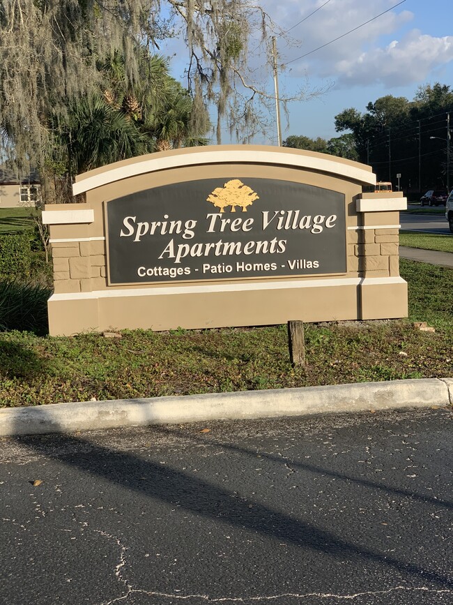 Spring Tree Village - Spring Tree Village Apartments