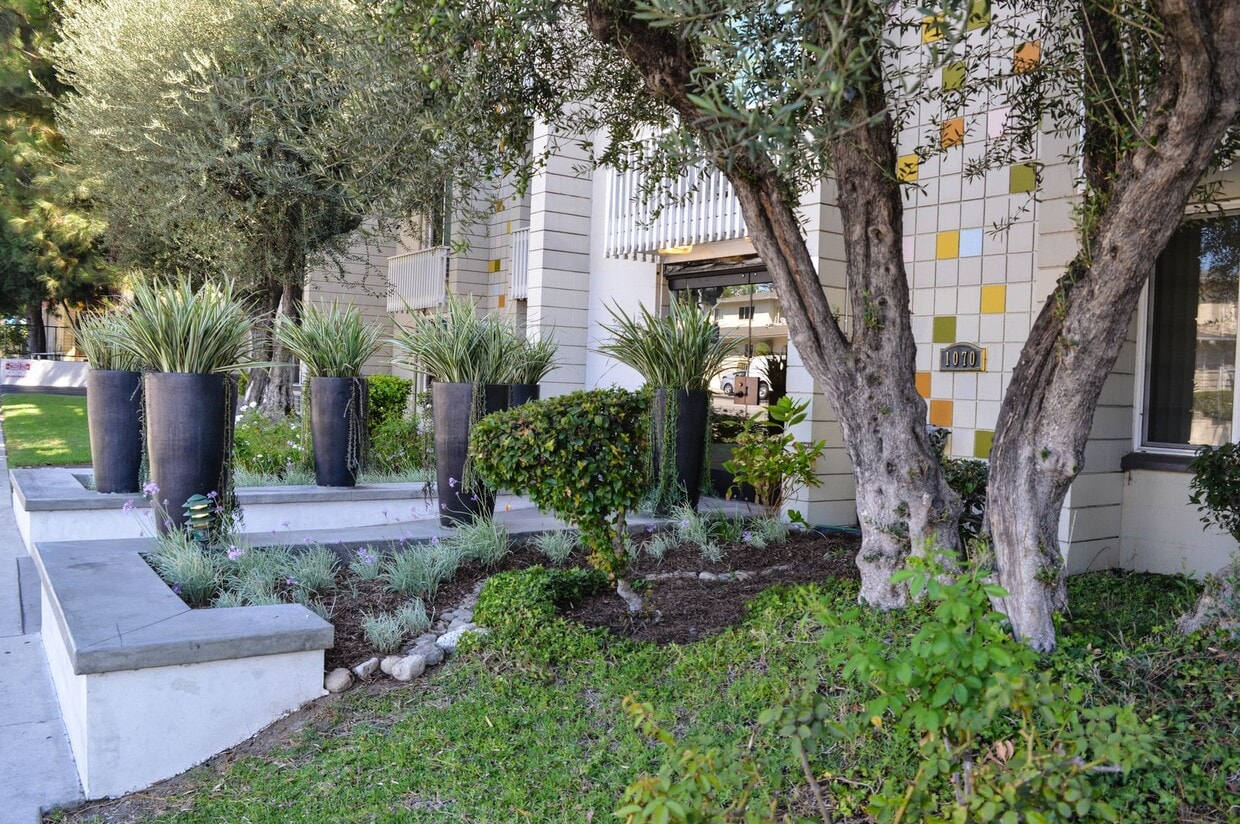 Floor Plan - R 1+1 AA