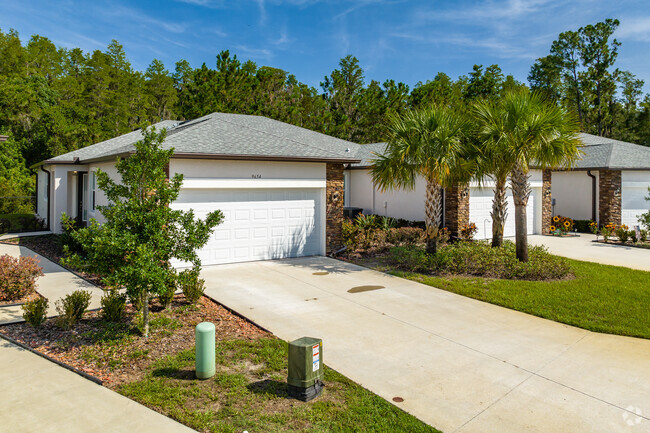 The Oasis at Hunter's Ridge Apartments - New Port Richey, Florida - 5 ...