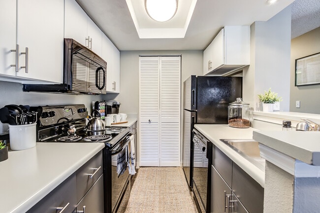 Building Photo - ReNew Foothills Rental