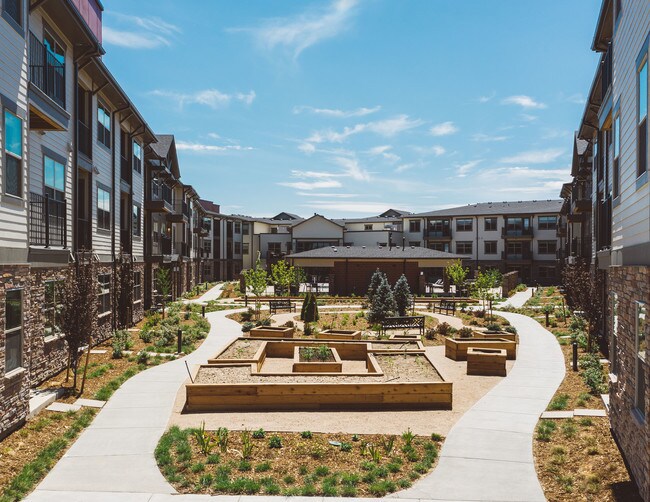 55 Resort Apartments at Water Valley Windsor, Colorado 19 units