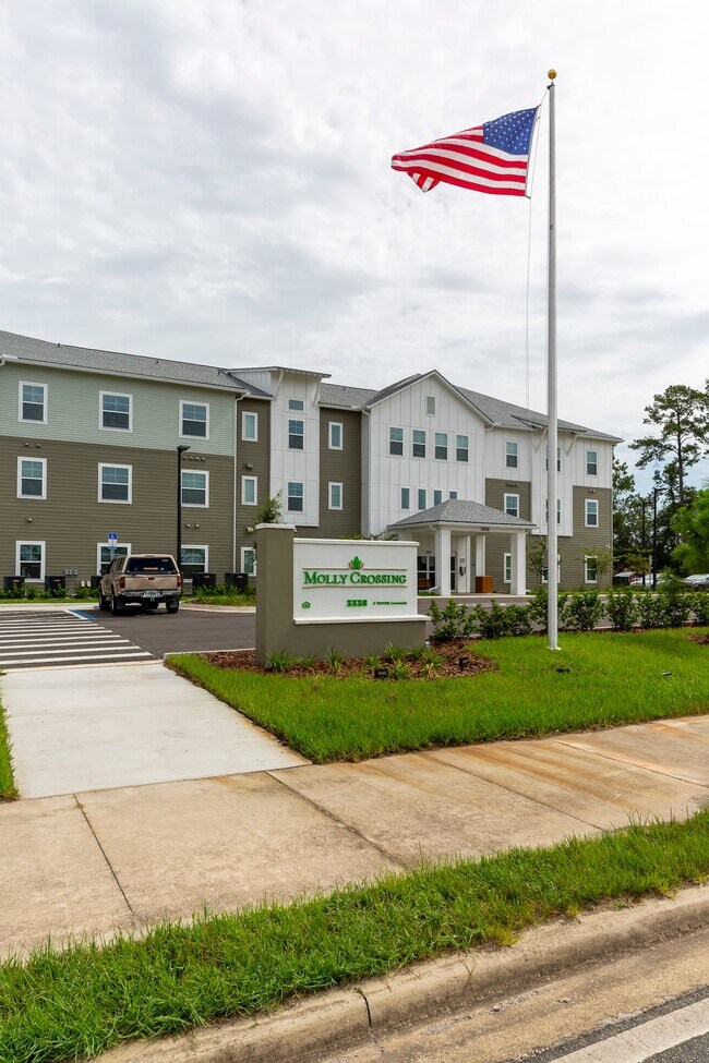 Molly Crossing Apartments Middleburg, Florida 3 units available After55