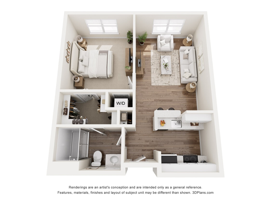 Chestnut C - Chestnut C