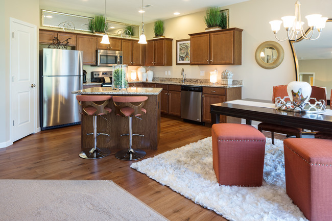 Sydney Island Kitchen - The Villages of Whitewater Apartments