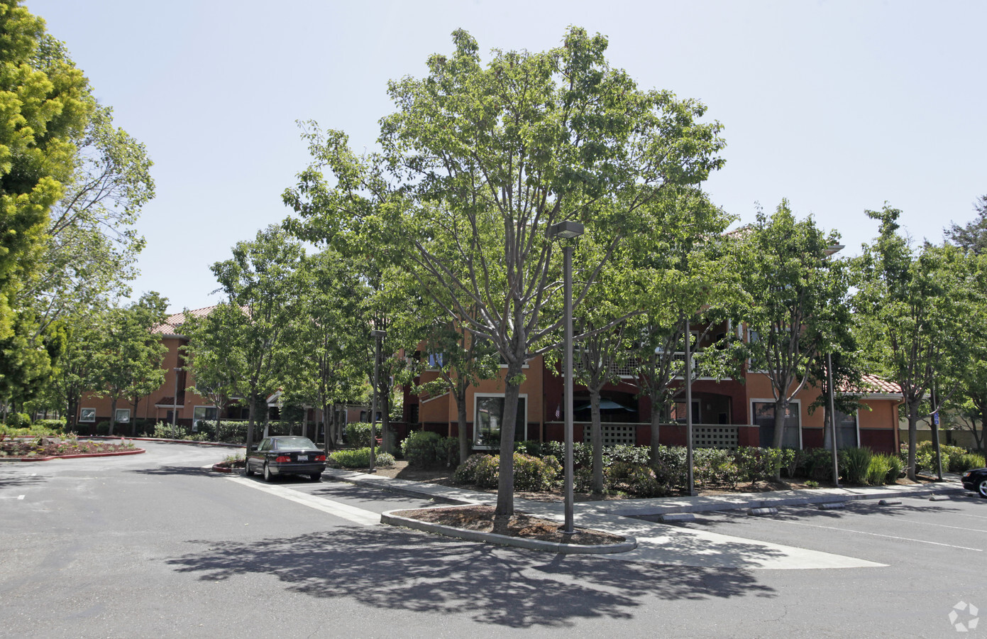 Photo - Rosewood Terrace Apartments