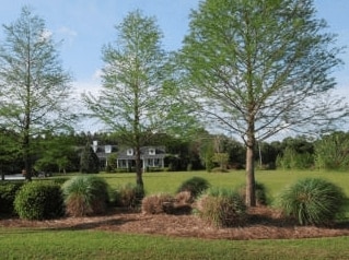 Primary Photo - Tranquility Harbor- independent living suite Rental