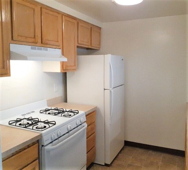 Photo - Birchwood at Grays Ferry Apartments