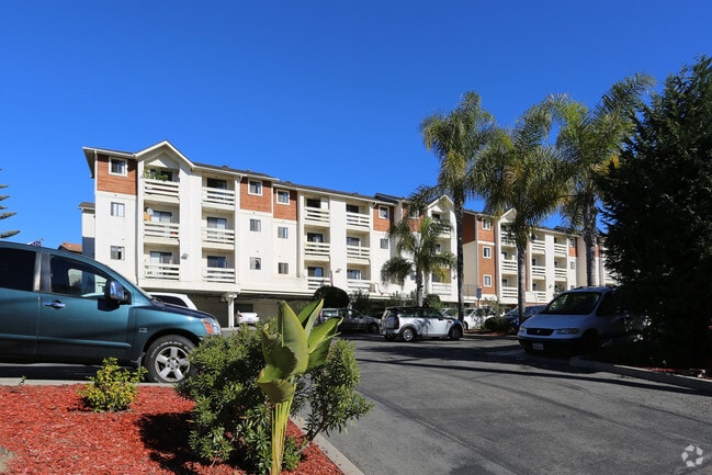 Building Photo - Encinitas Terrace 55+ Rental