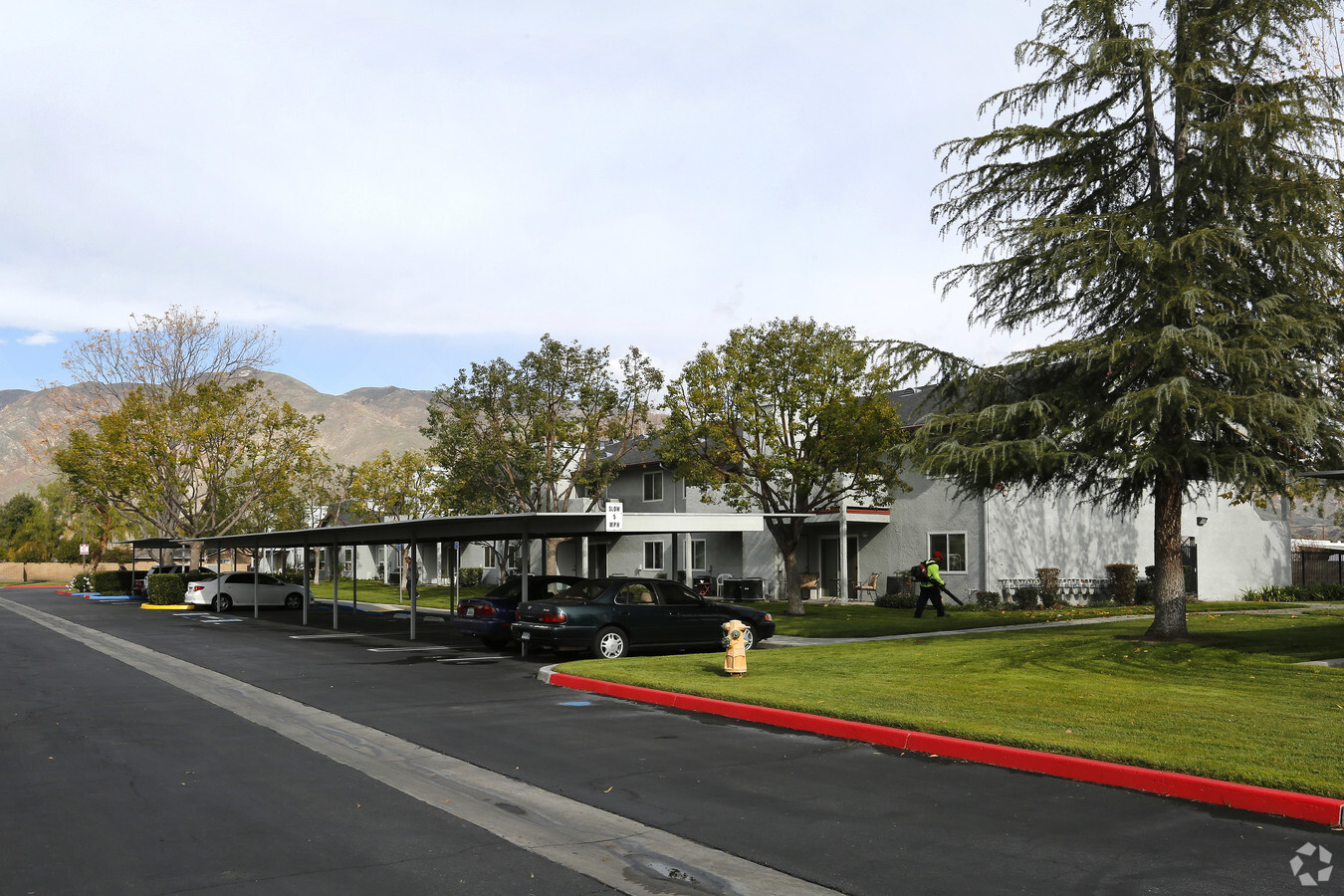 San Jacinto Senior Apartments - San Jacinto Senior Apartments