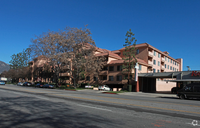 Building Photo - Olive Court Apartments