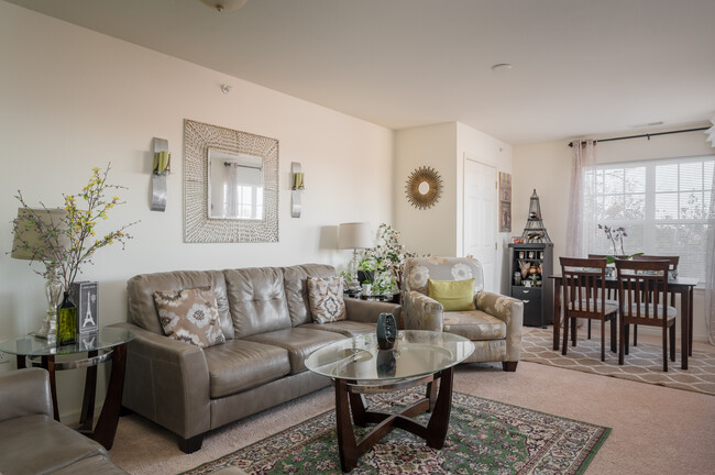 Living Room - Lynnhaven Cove Senior Apartments