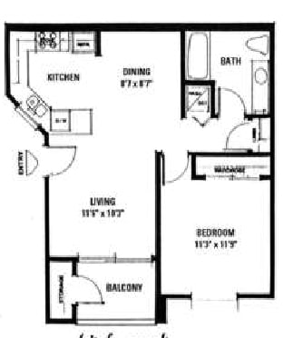 1BR/1BA - 1BR/1BA - Model C