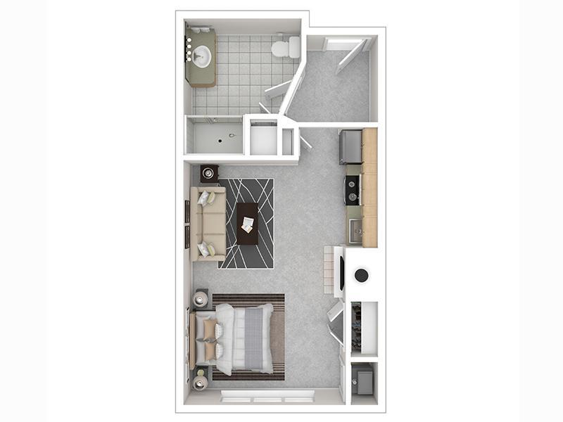 Floor Plan - Studio