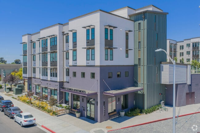 Primary Photo - Timber Senior Housing
