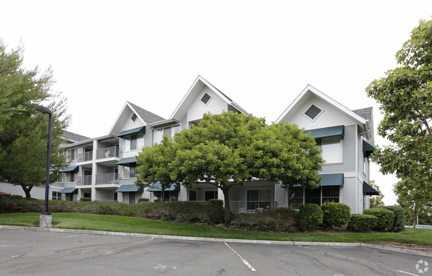 Photo - Redwood Shores Senior Apartments