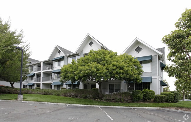 Primary Photo - Redwood Shores Senior Apartments