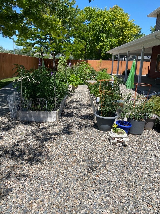 Central Court Village Apartments Billings, Montana 3 units available After55