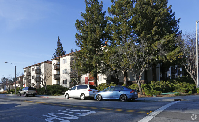 Primary Photo - Plaza De Las Flores Rental
