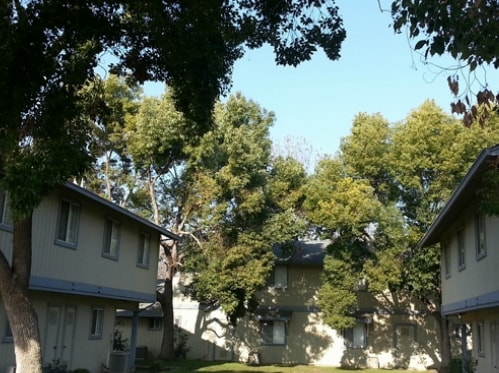 Building Photo - Almond Garden Elderly Apartments