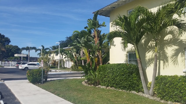 Building - Bradenton Palms Apartments