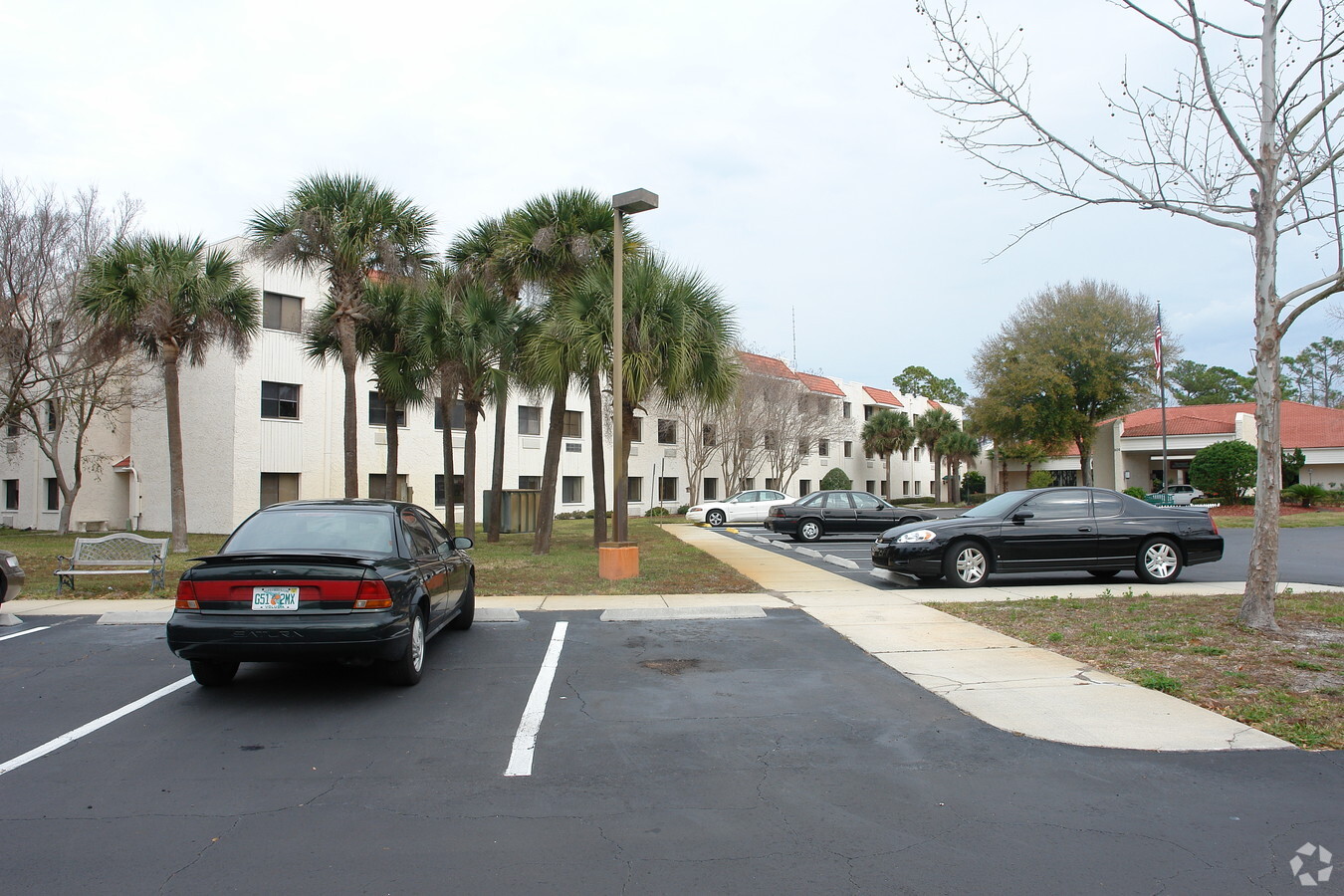 Ormond In The Pines - Ormond In The Pines Apartments