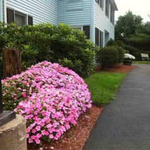 Primary Photo - Sunbanke Village Rental