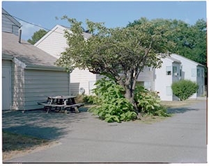 Photo - Joseph Malone Apartments