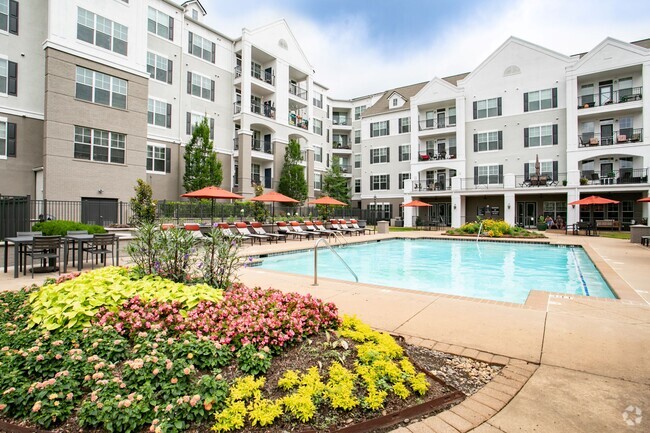 Building Photo - Emblem Alpharetta (a 55+ Community) Rental