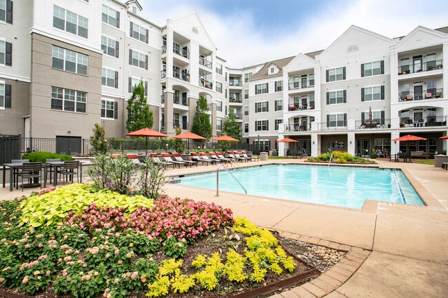 Swimming Pool - Emblem Alpharetta (a 55+ Community) Rental