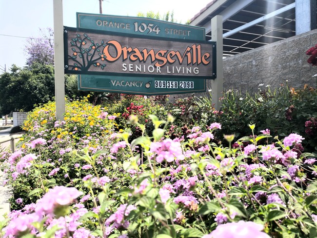 Orangeville Senior Living Apartments 55+ - Orangeville Senior Living Apartments 55+