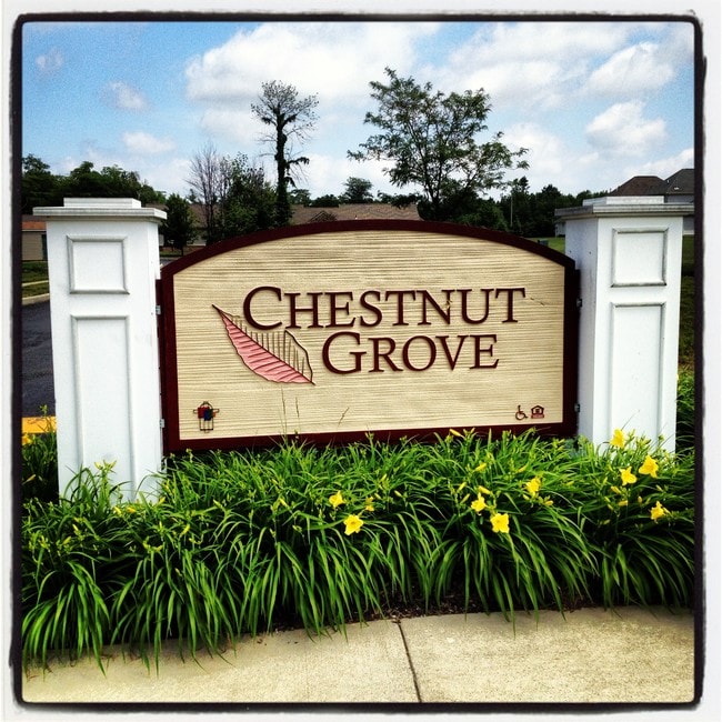 Chestnut Grove - Chestnut Grove Apartments