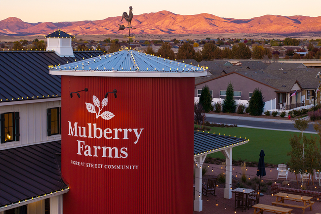 Mulberry farms discount prescott valley