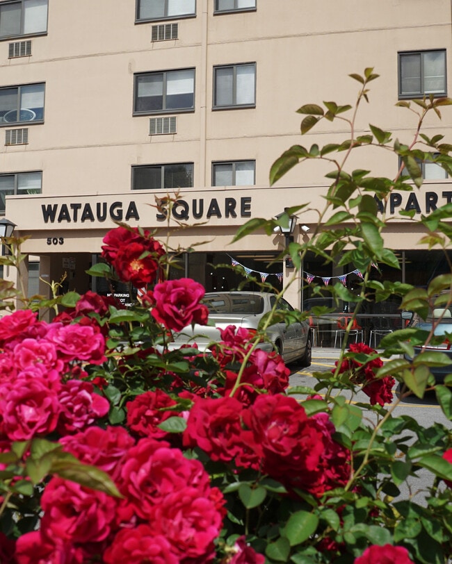 Building Photo - Watauga Square Rental
