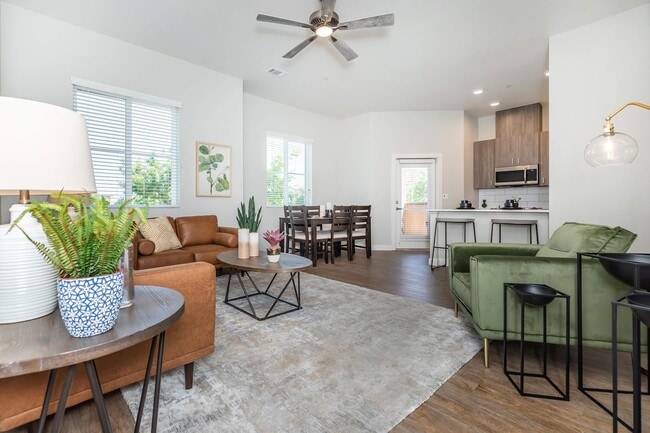 Building Photo - Maravillosa at Campus Pointe SENIOR 55+ Rental