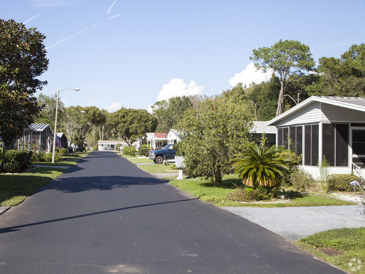 Forest View - Forest View Apartments