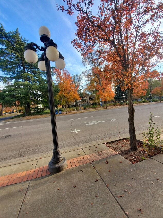 Floor Plan - 1x1 C-03