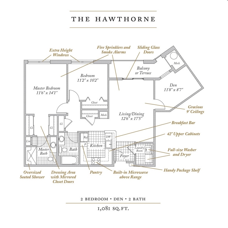 The Hawthorne - The Hawthorne