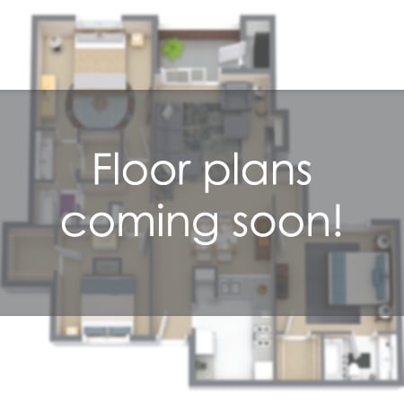 Floor Plan - 1 BR 1 B