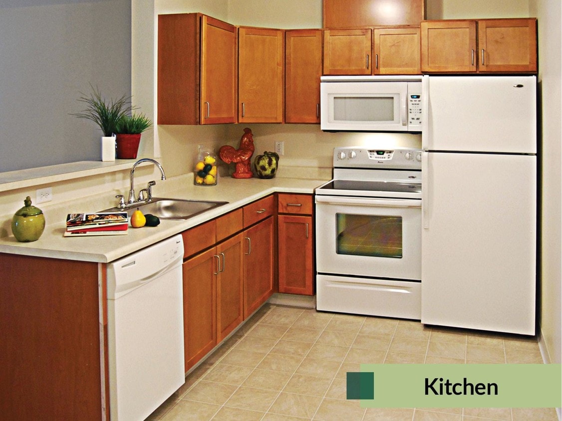 Floor Plan - 1 BD/ 1 BA