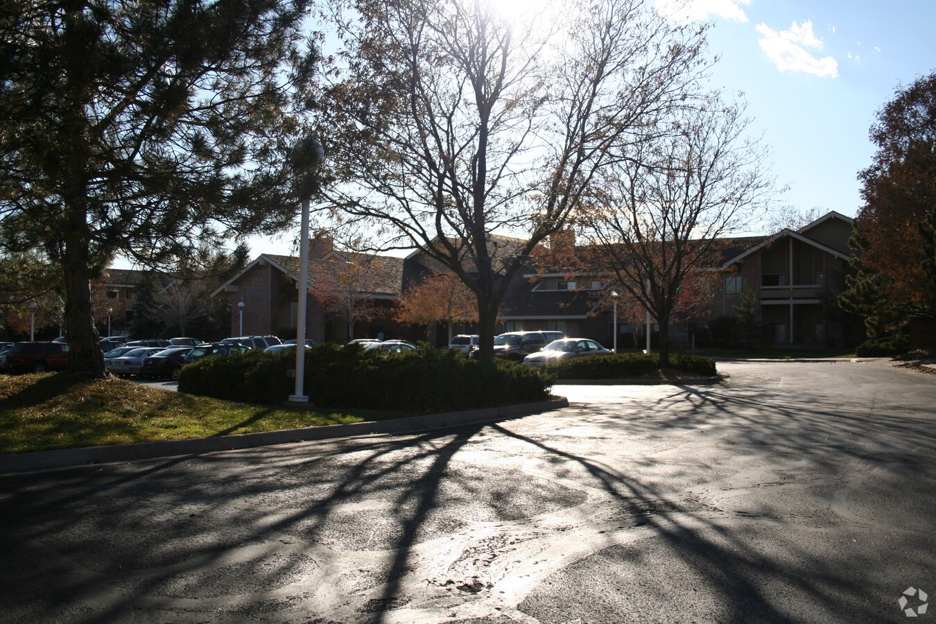 Brookdale Meridian Lakewood - Brookdale Meridian Lakewood Apartments